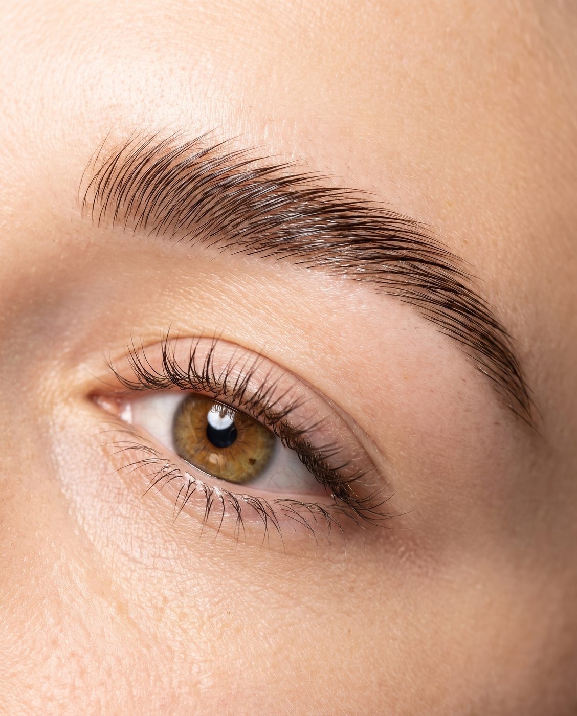 Full, brushed-up laminated brow